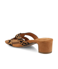 The Kiwi 40 Icon - Leopard Haircalf