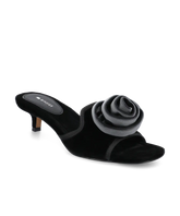 The Kiwi Kitten Flower - Black Velvet