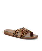 The Sunbird Icon - Leopardprint Haircalf