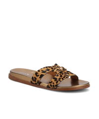 The Sunbird Icon - Leopardprint Haircalf