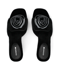 The Kiwi Kitten Flower - Black Velvet