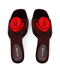 The Kiwi Kitten Flower - Burgundy Velvet