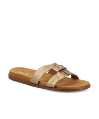 The Sunbird Icon - Gold Leather
