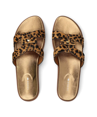 The Sunbird Icon - Leopardprint Haircalf